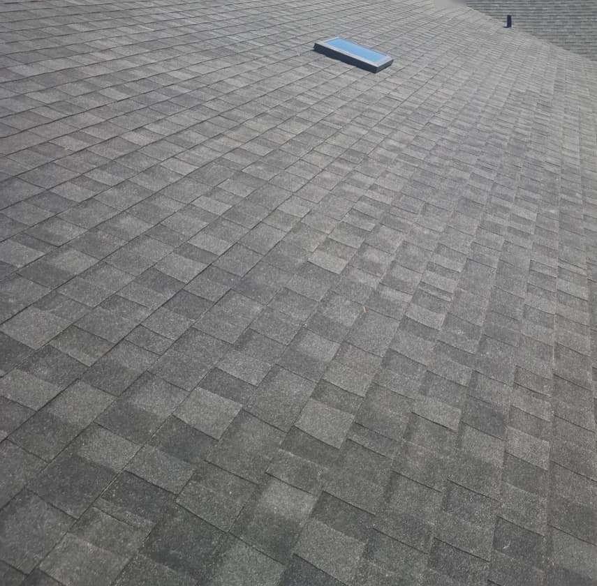 Wide rear slope of the new roof with a skylight, a hood vent and oaks past the ridge
