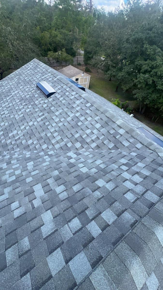 Box vent on a ridge of the Eustis roof, with a shed and oak trees behind