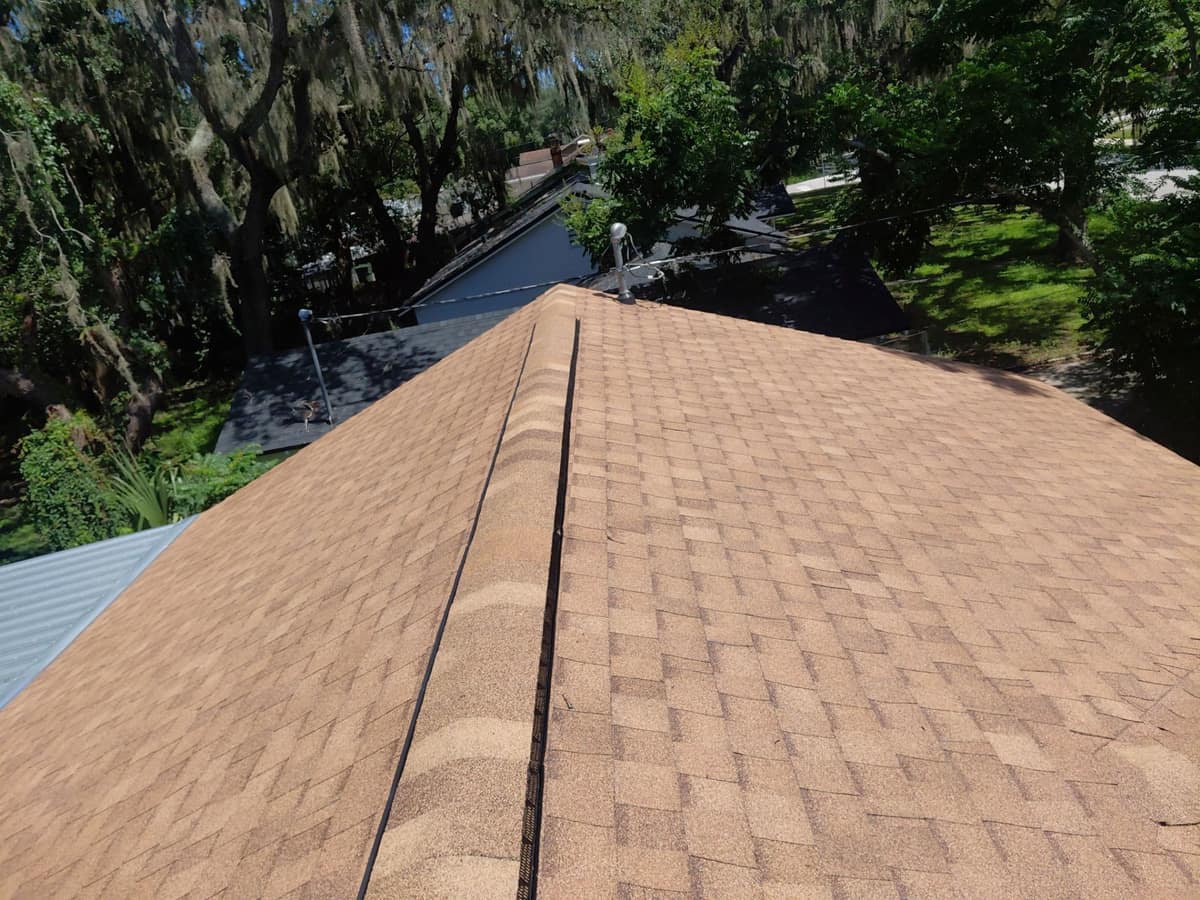 Tan shingle ridge with its vent edge showing, oaks and Spanish moss all around