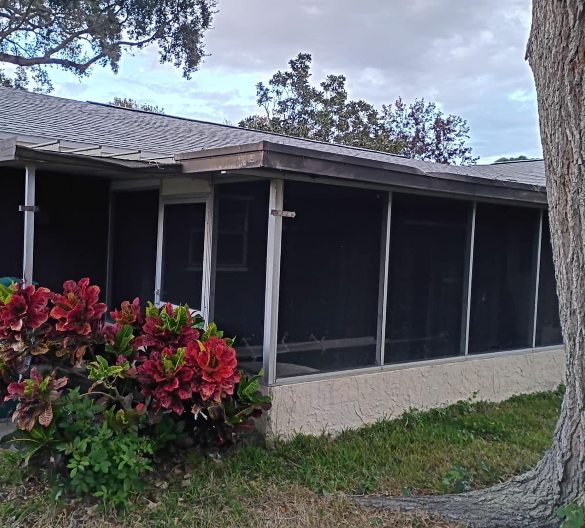 Back of the house with a screened porch, croton plants and the new roof above