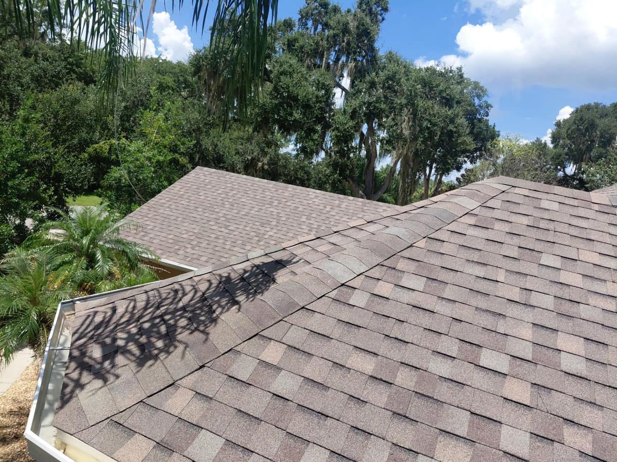 Palm shadows across a hip line that ends at a white gutter corner