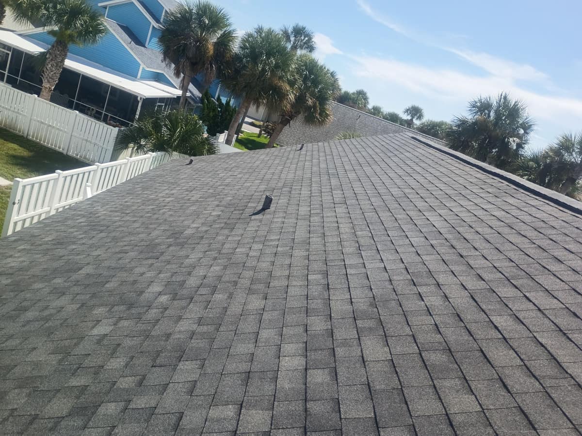 Long back slope of gray shingles with pipe vents, a white fence and the neighbors' palms