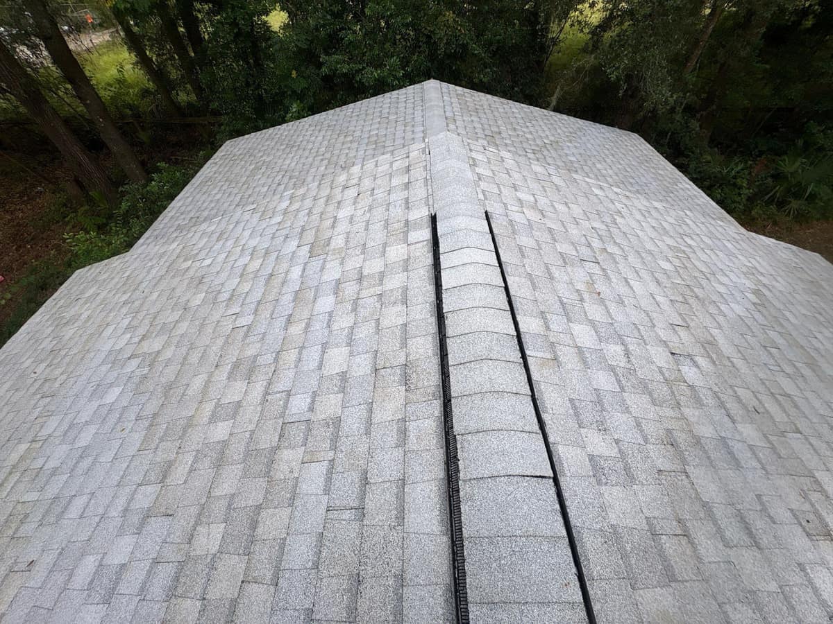 Black ridge vent edges on both sides of the caps along the main ridge