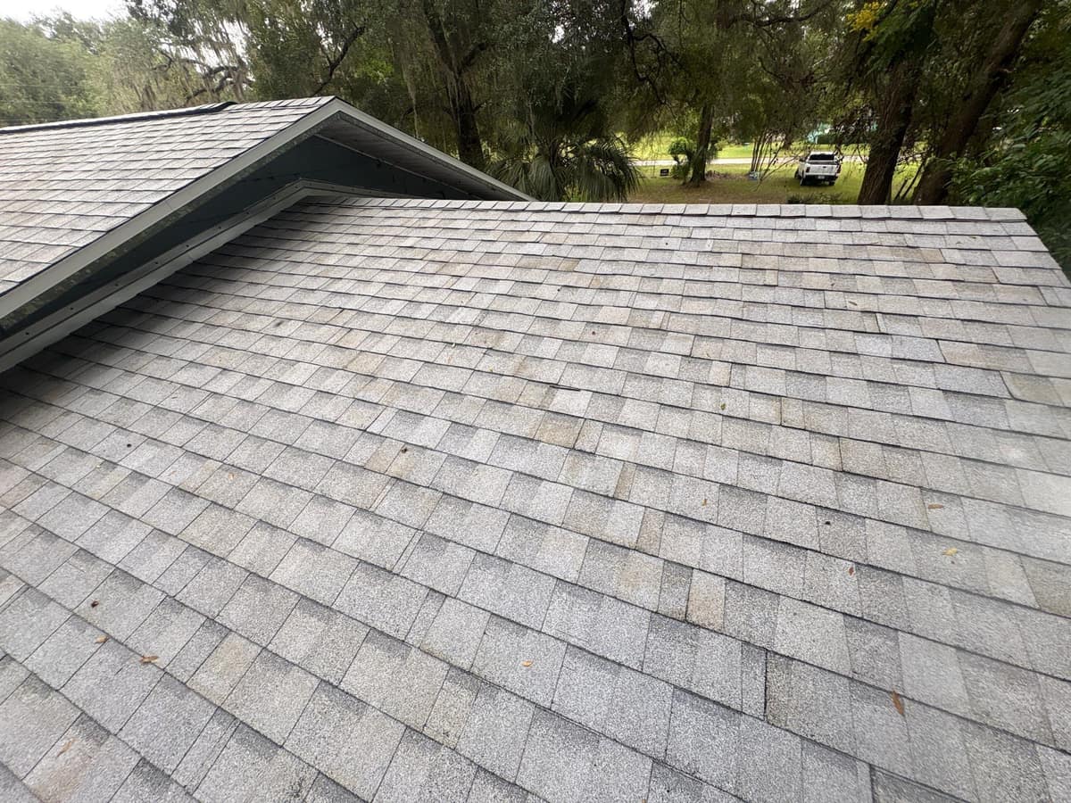 Gable rake edge with gray-green trim over the main roof, mossy oaks and a field beyond
