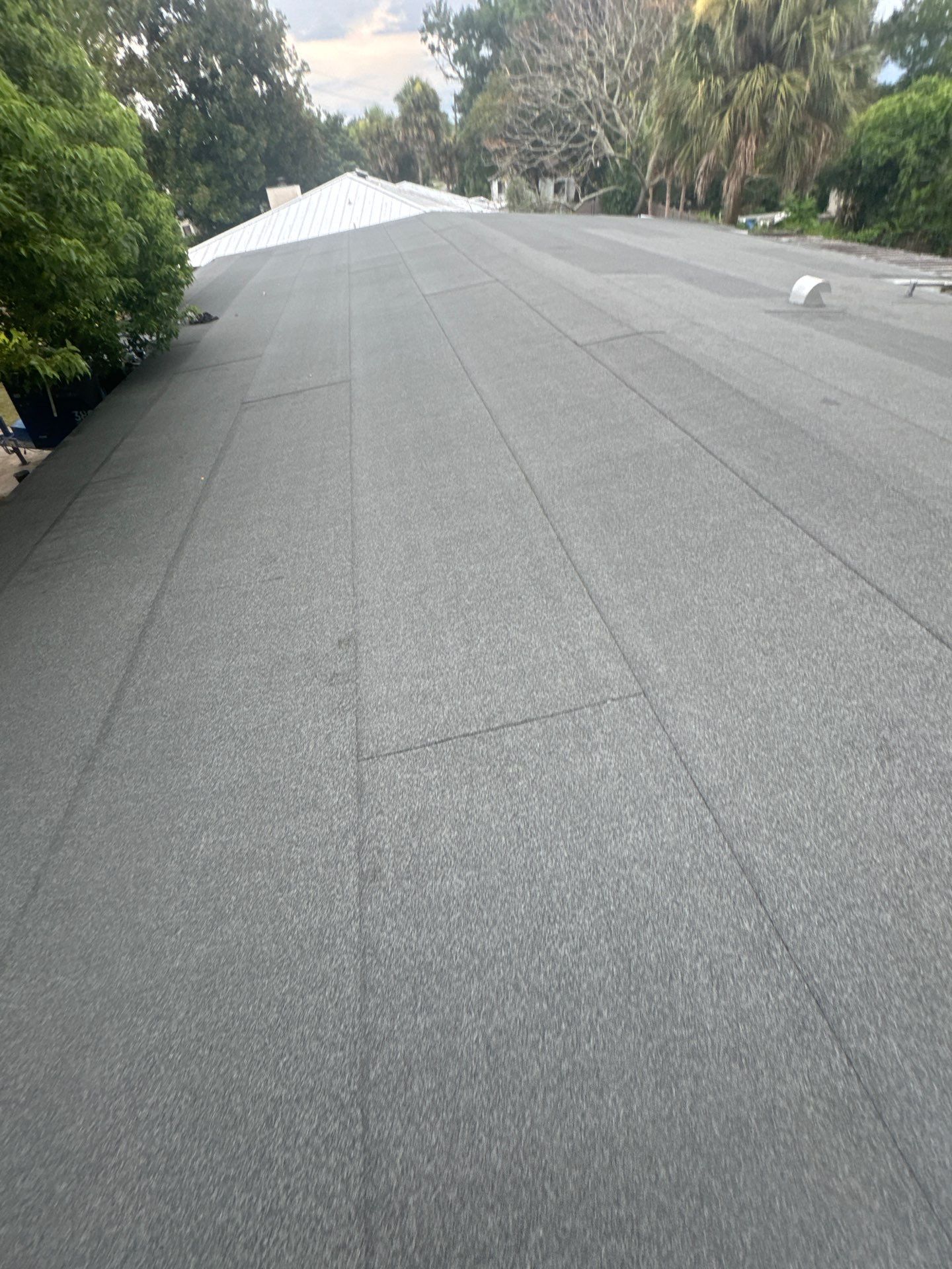 mod bit roof replacement altamonte springs