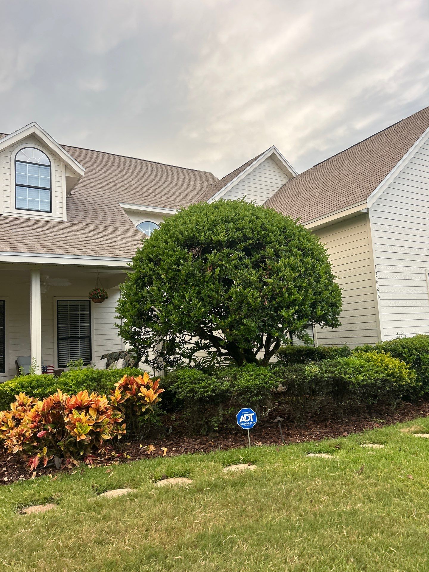 Atlas Pinnacle Sun Shingle