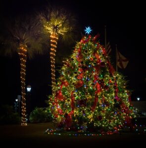 Holiday lights wrapped around palm trees and a Florida home glowing at dusk, with warm white lights reflecting off tropical landscaping